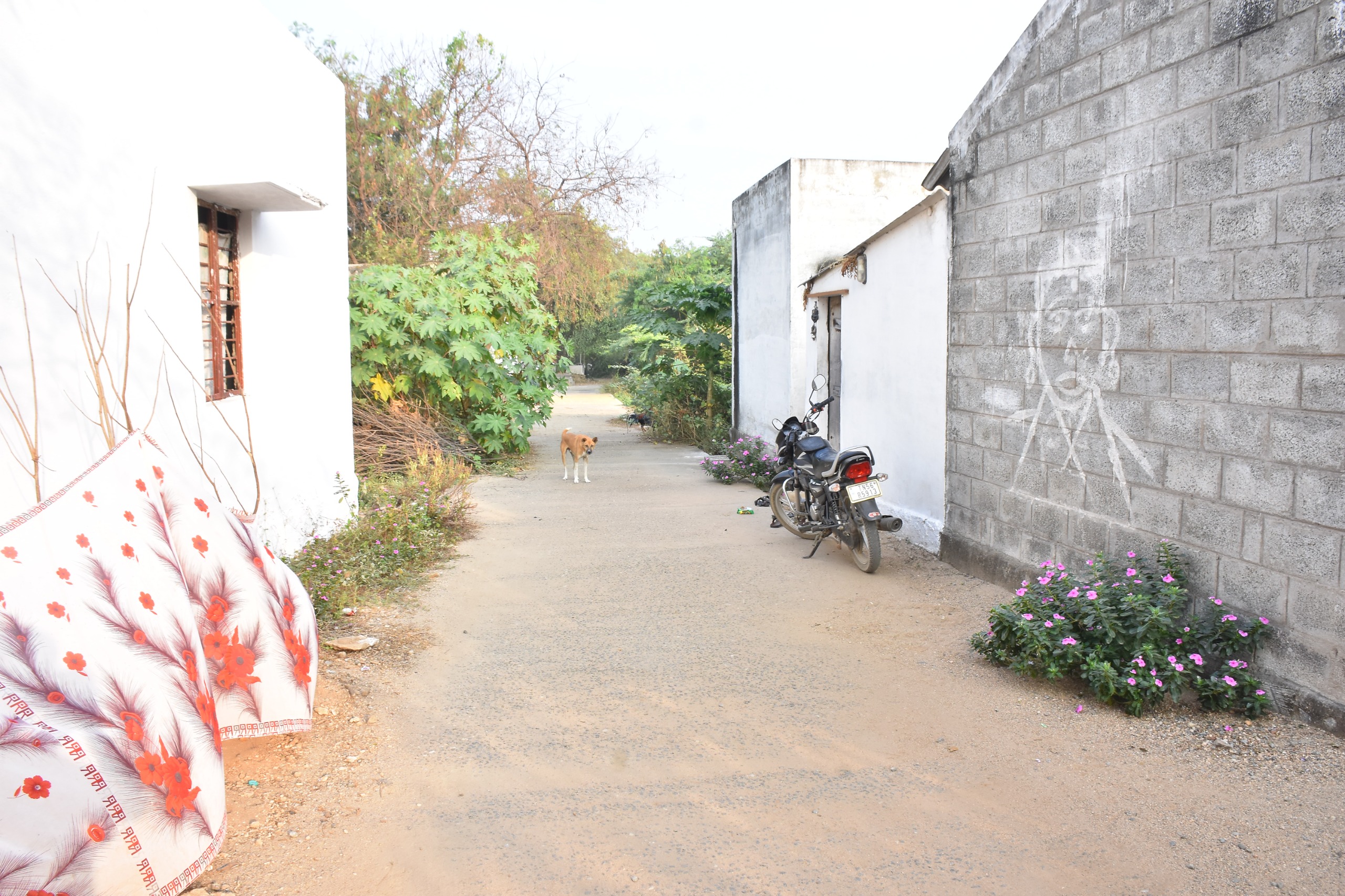 Physical Infrastructure